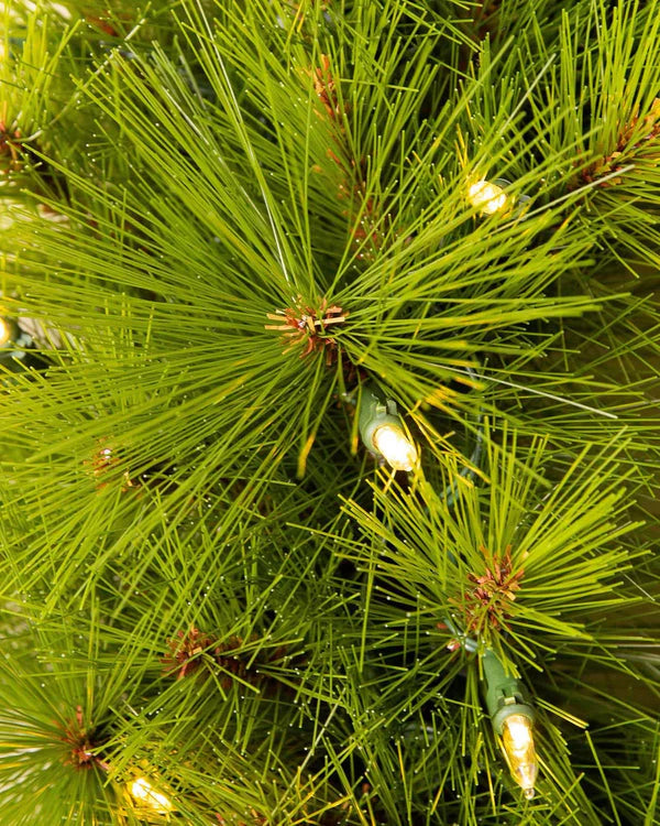 🎄Árbol de Navidad MAGICO